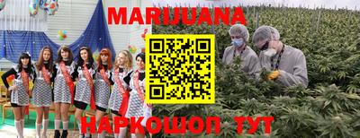 PSILOCYBIN Донской