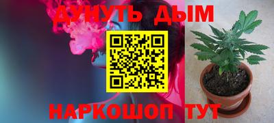 бошки Дубна
