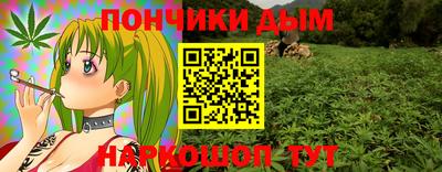 бошки Дубна