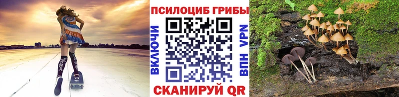 ссылка на мегу онион  закладки  Соль-Илецк  Псилоцибиновые грибы Cubensis 