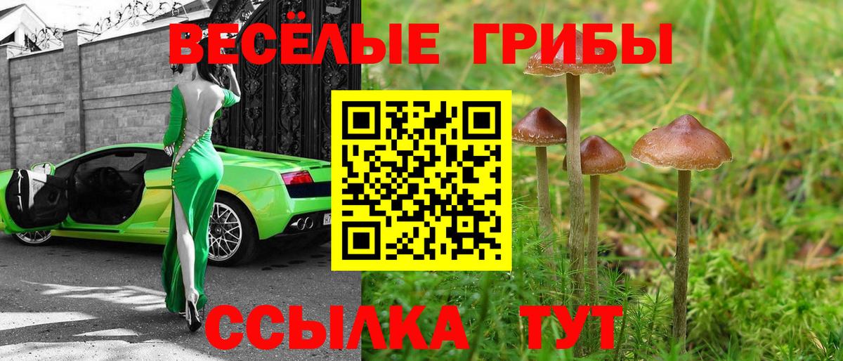 Соль-Илецк  Псилоцибиновые грибы MAGIC MUSHROOMS  Вход с VPN 