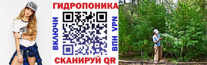 Шишки марихуана конопля  Соль-Илецк 